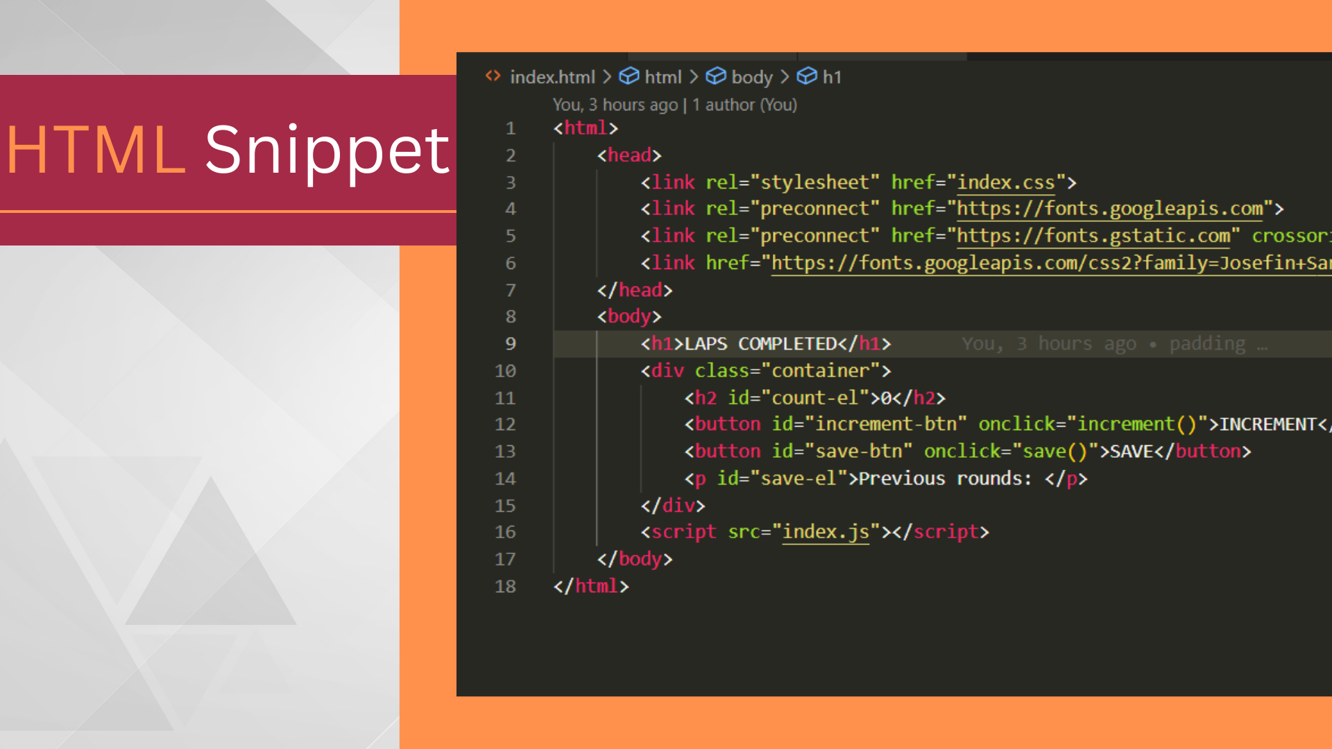 html snippet