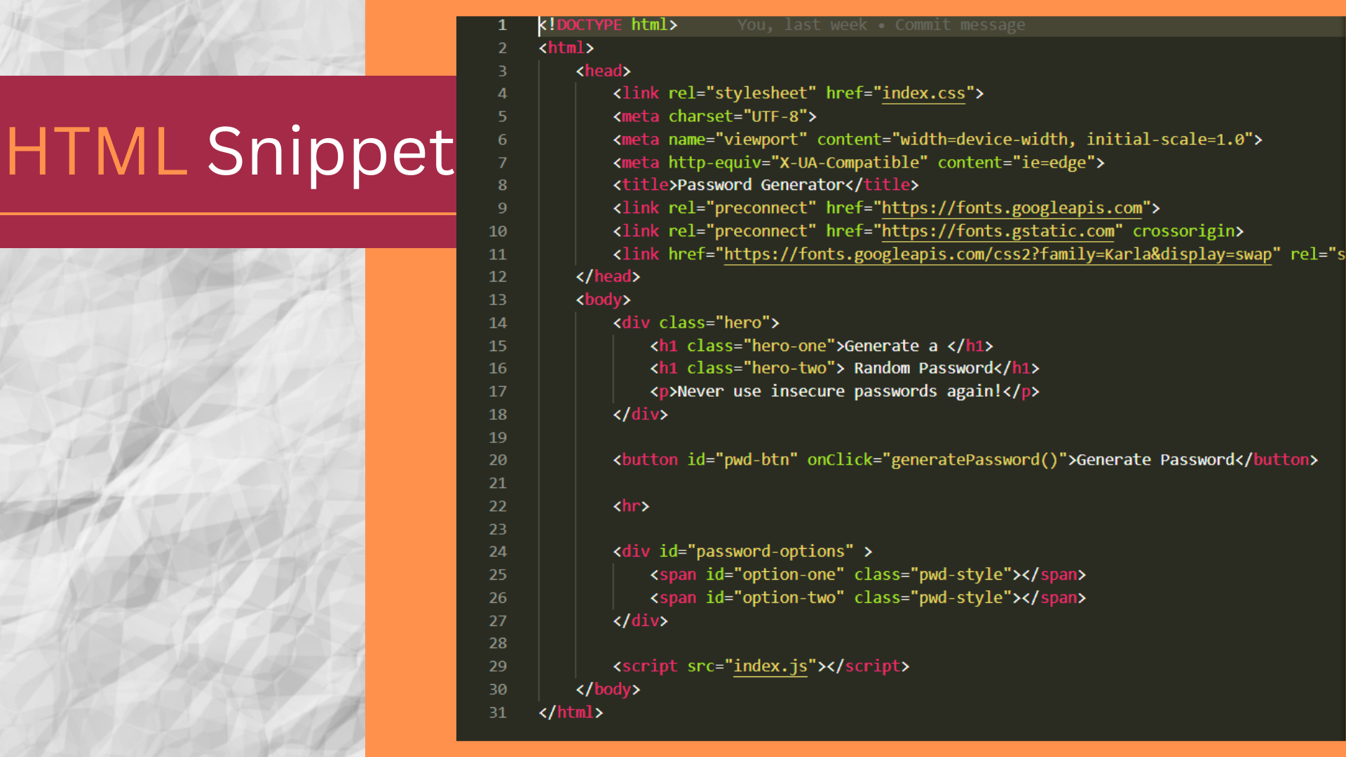 html snippet
